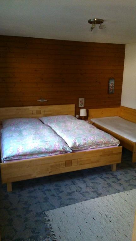 Haus Schiestl Apartment Zell am Ziller Phòng bức ảnh